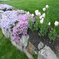 North Andover landscaping