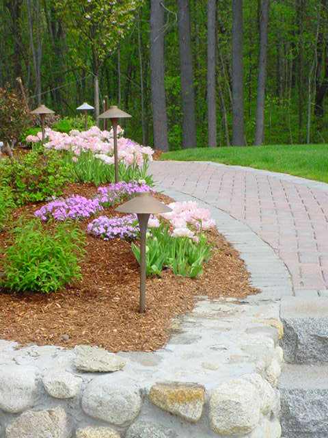 Flower beds and shrubs